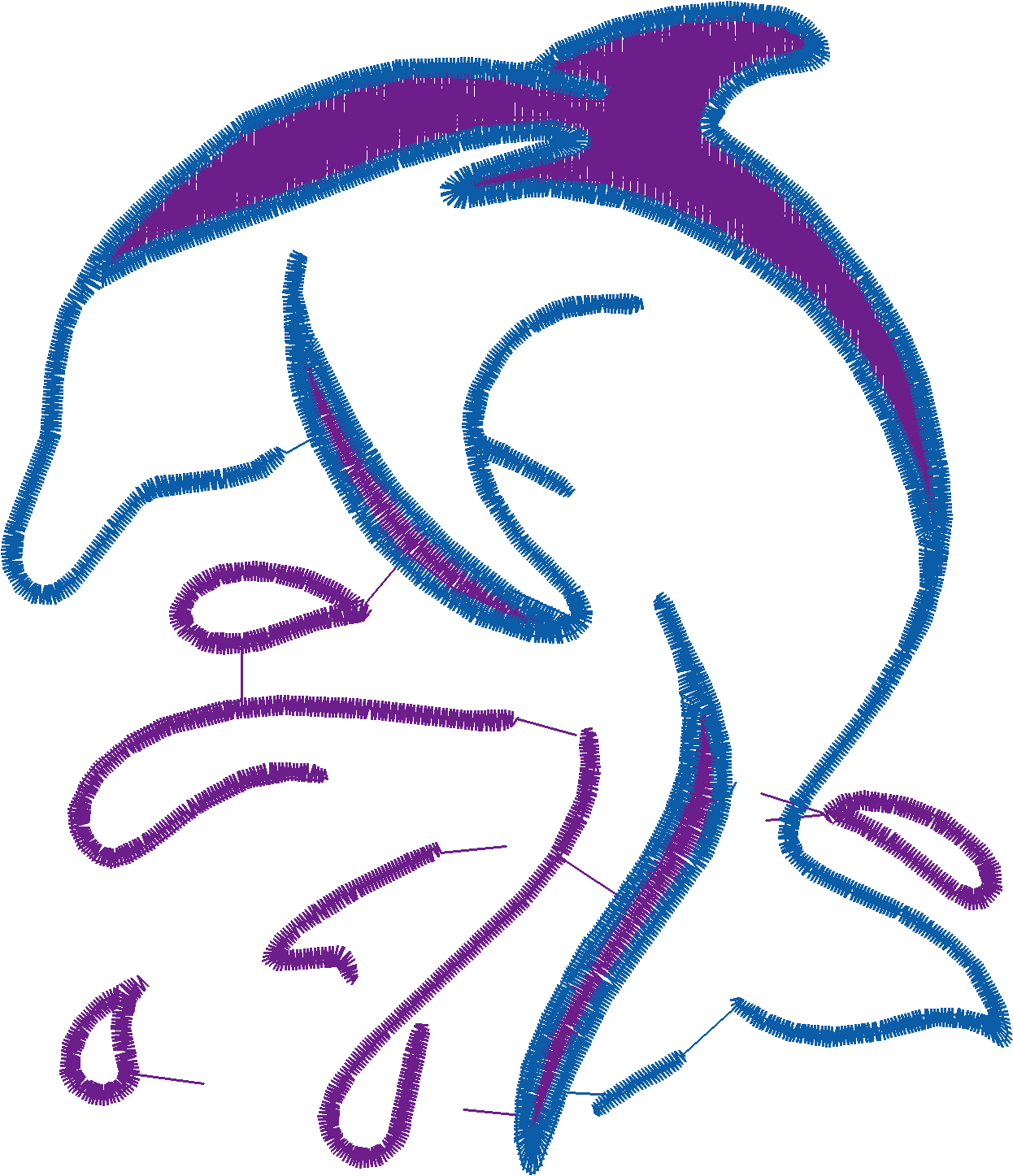 Dolphins 5  (30)
