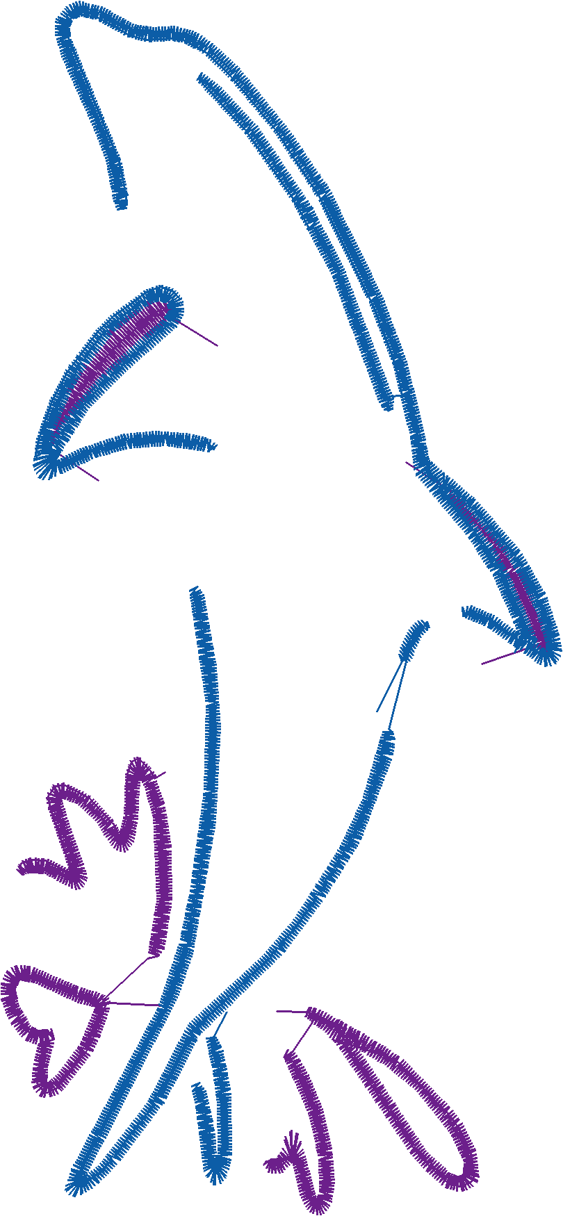 Dolphins 5  (6)