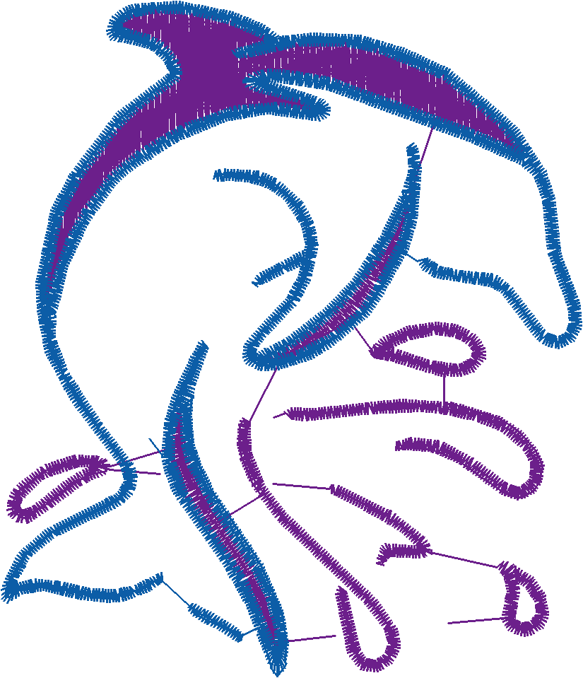 Dolphins 5  (7)