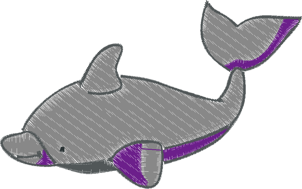 Dolphins 6
