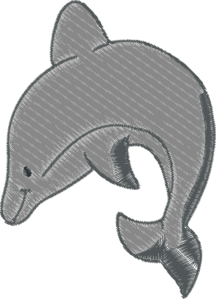 Dolphins 6  (10)