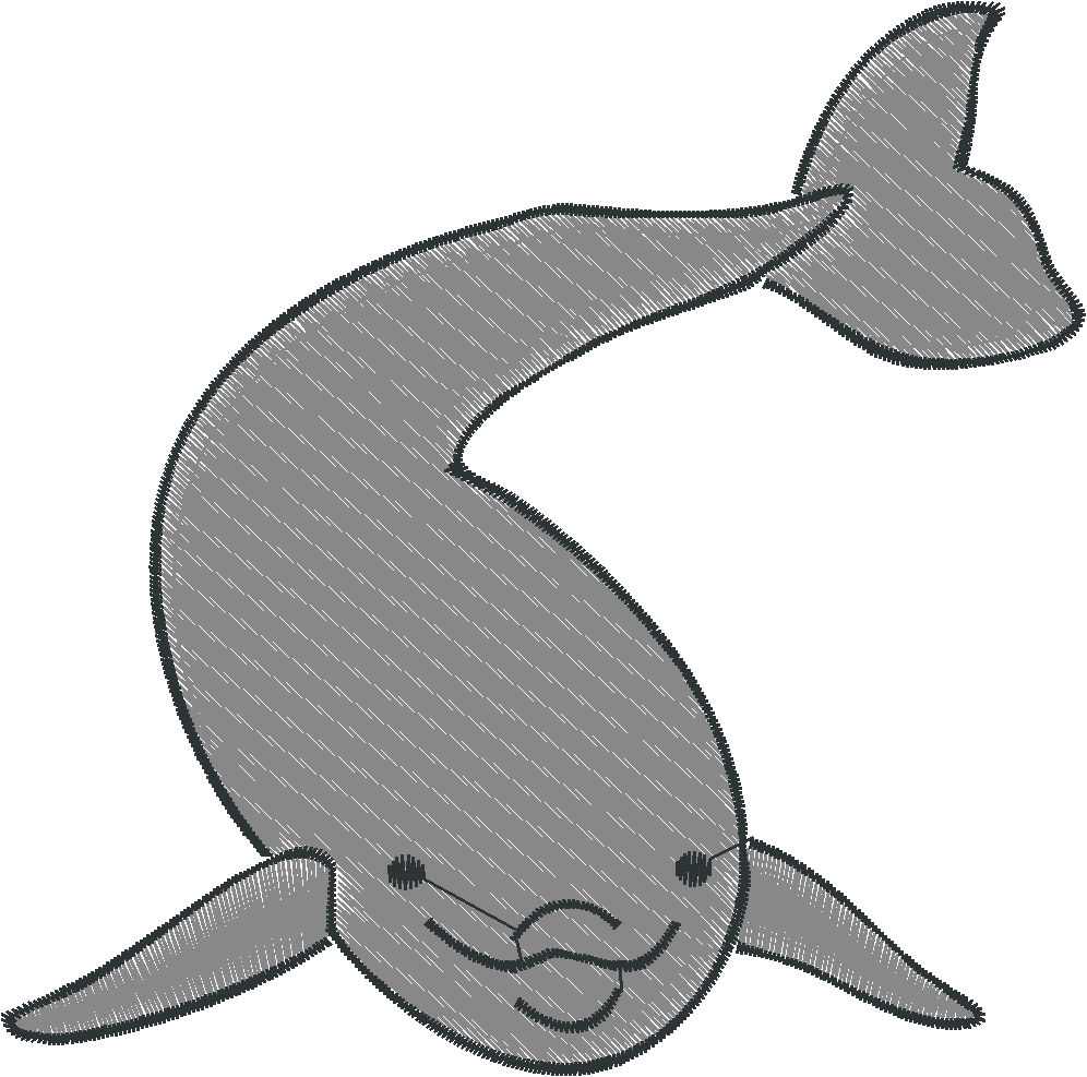 Dolphins 6  (4)