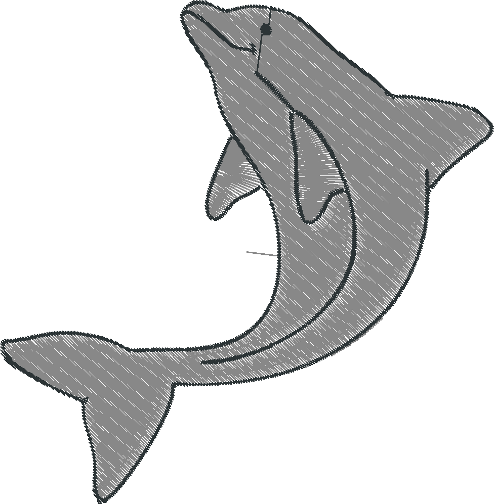 Dolphins 6  (7)