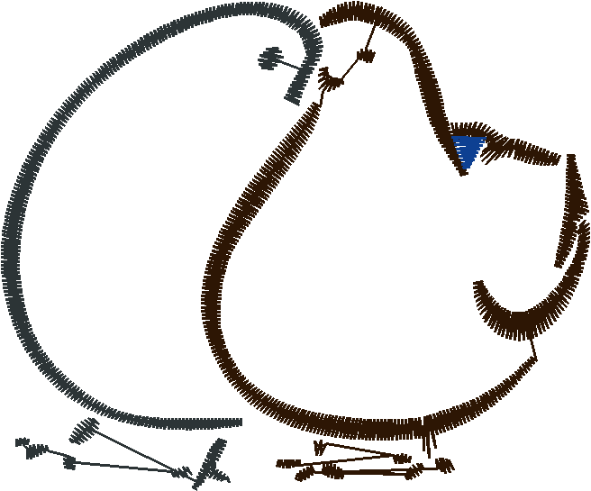 Doves 1  (10)