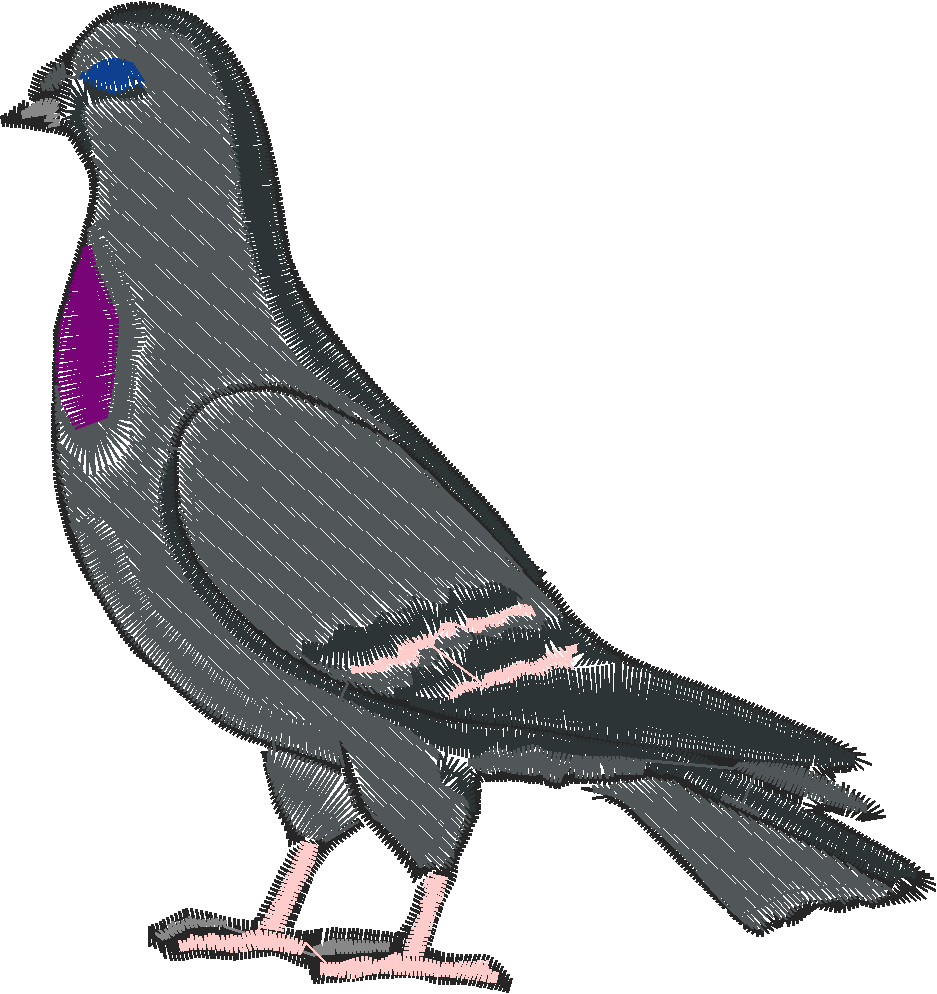 Doves 1  (11)