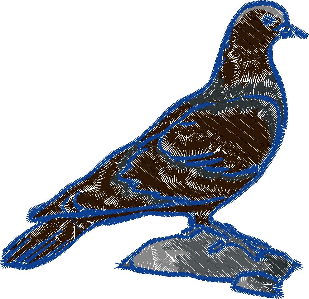 Doves 1  (2)