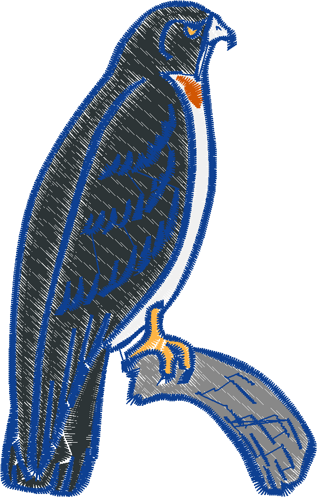 Eagles 1 (4)