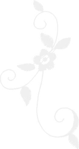 Elegant Accents 1 (10)