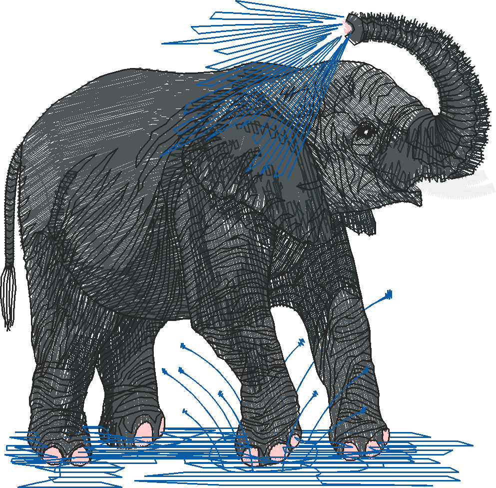 Endangered Species of the World