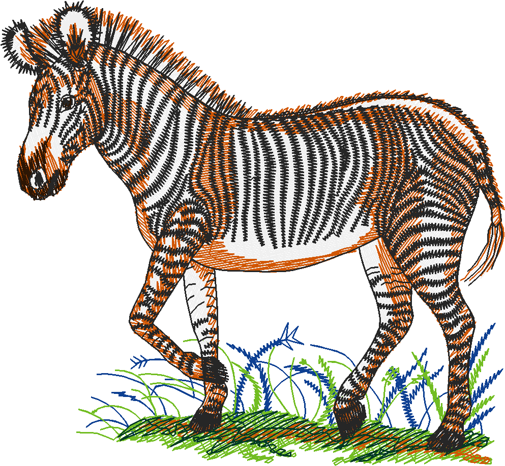Grevy'szebra