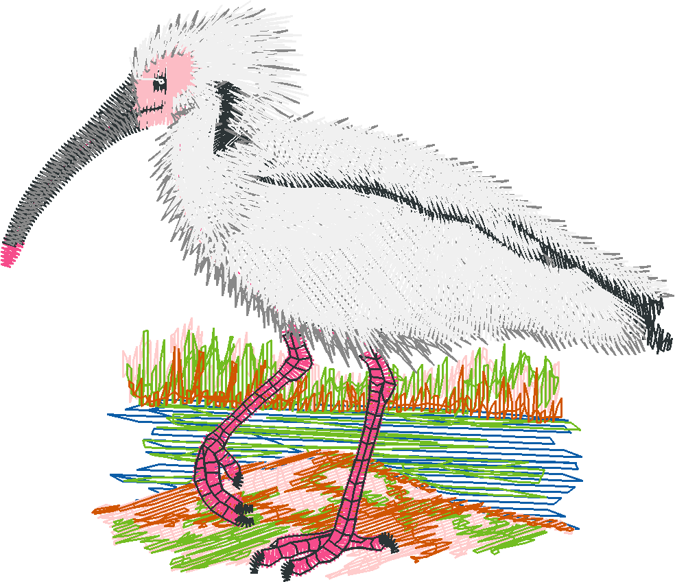 Japaneseibis