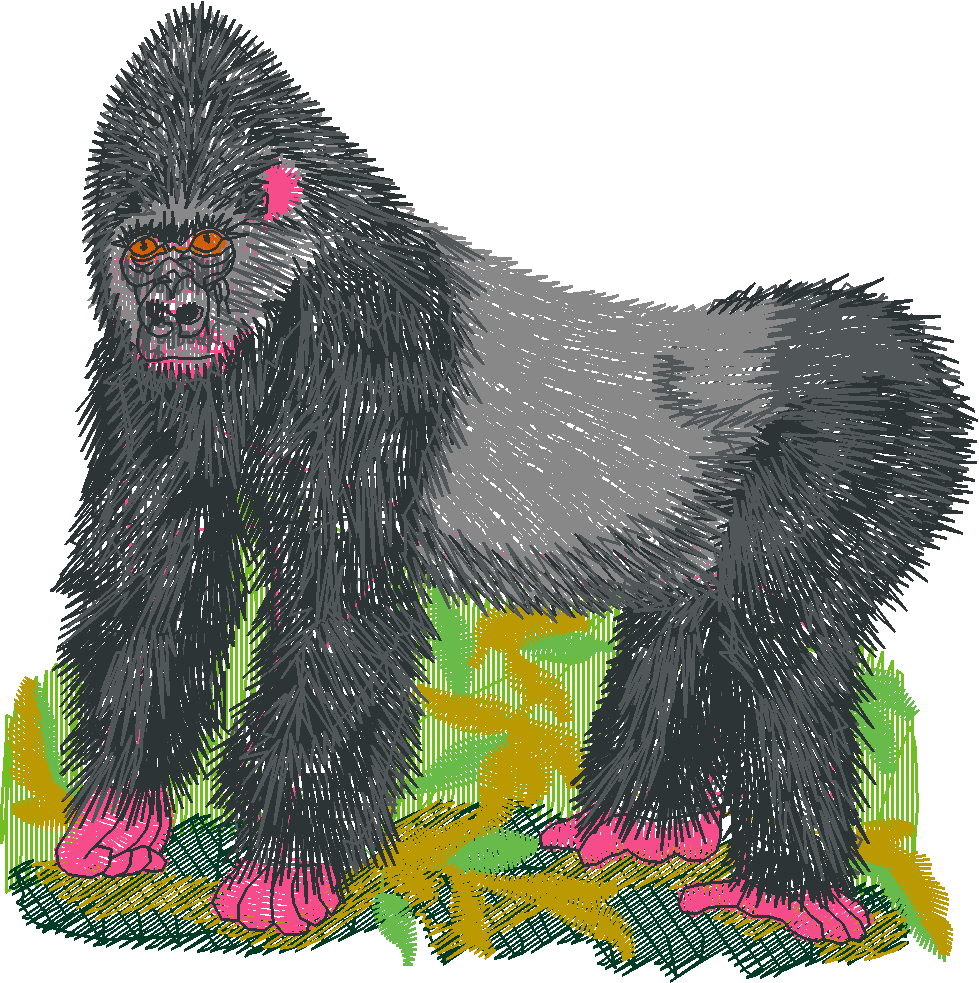 Mountaingorilla