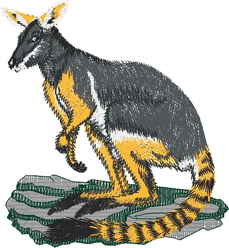 Ringtailrockwallaby