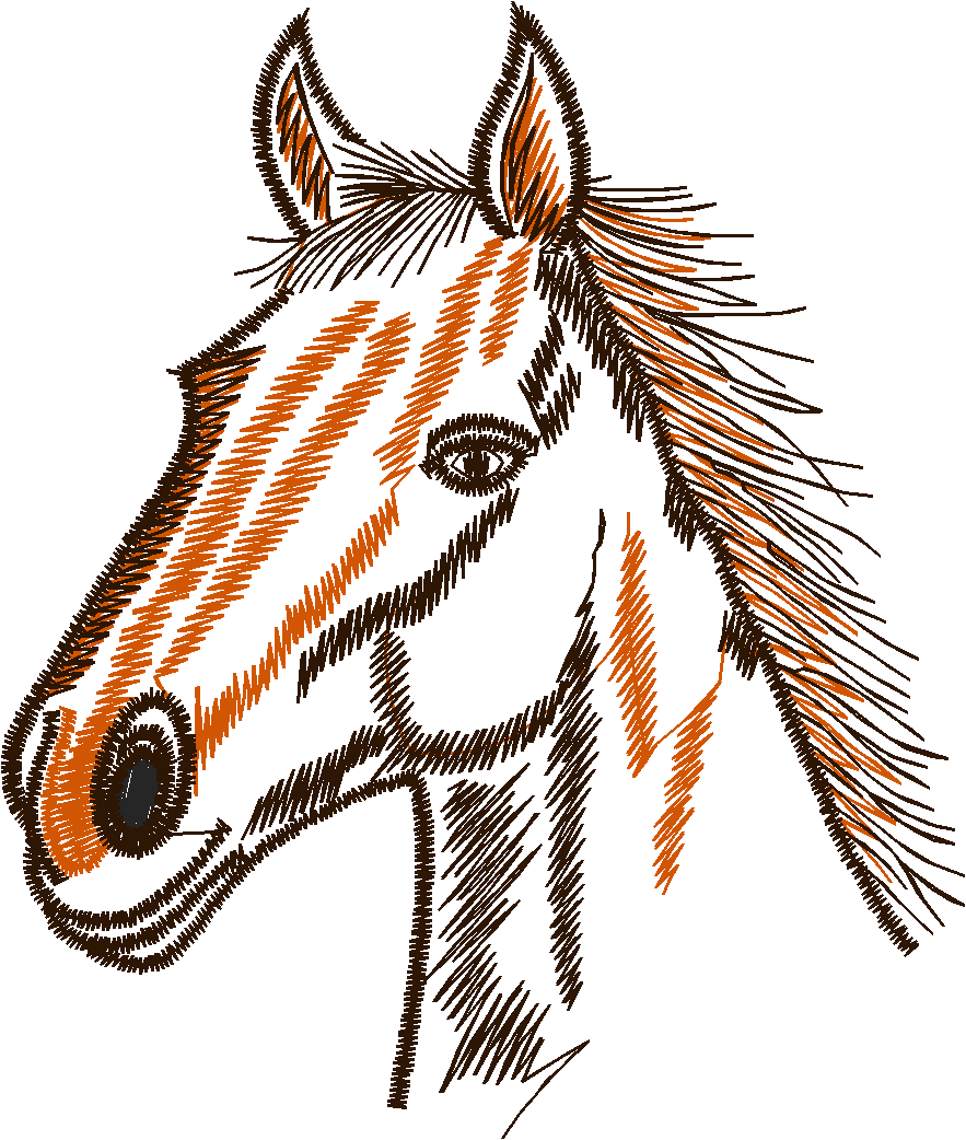 Equestrian 1 (9)