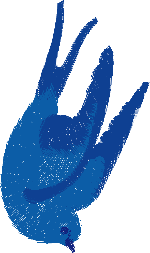 Bluebird 4lg