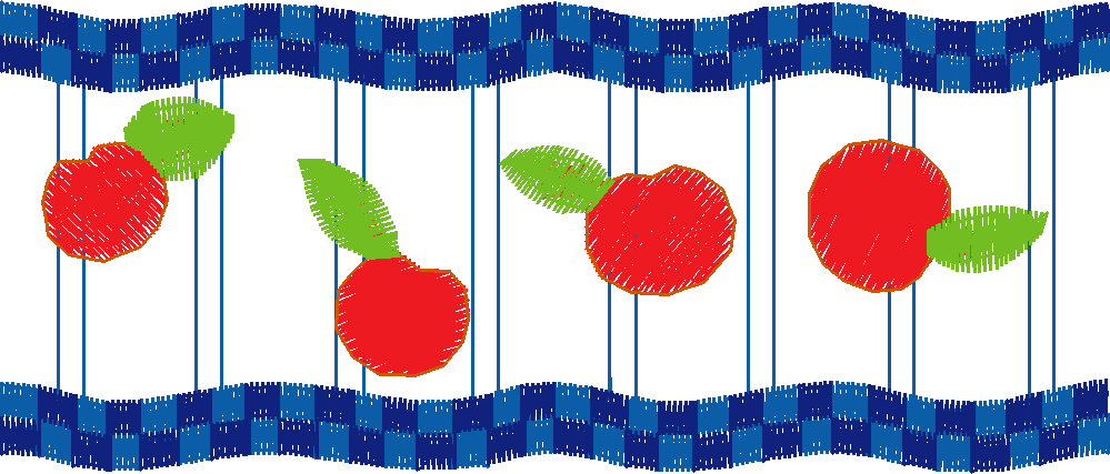 Everyday Fruit