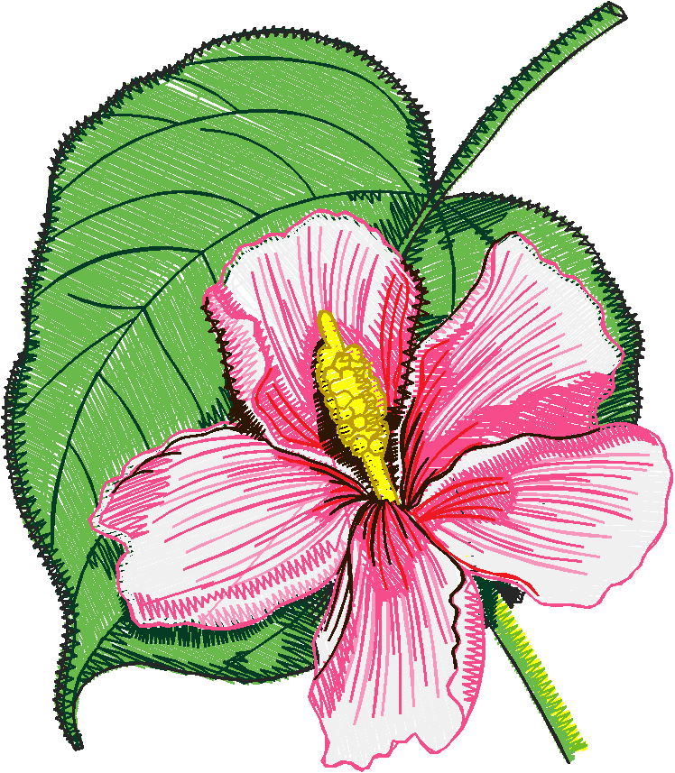 Exotic Flowers 1