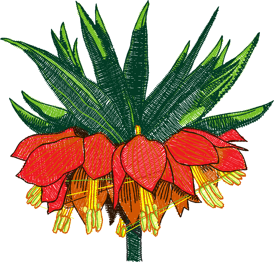 Exotic Flowers 1 (14)