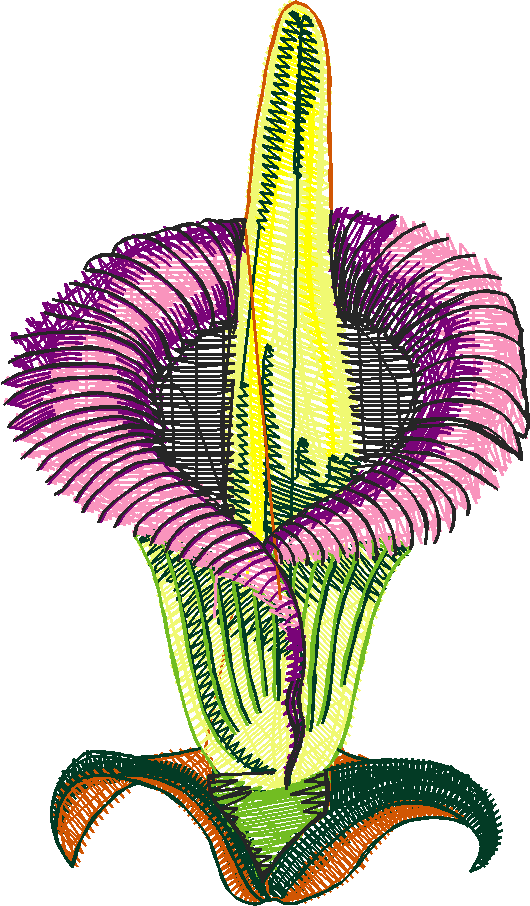 Exotic Flowers 1 (19)