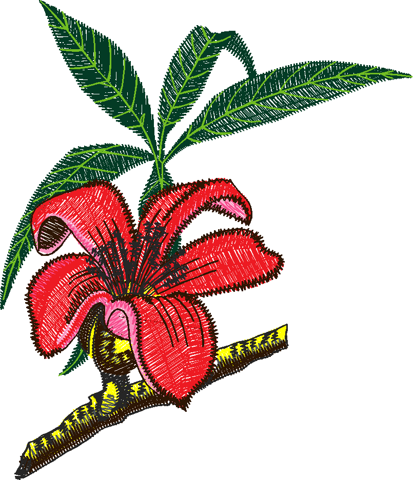 Exotic Flowers 1 (2)