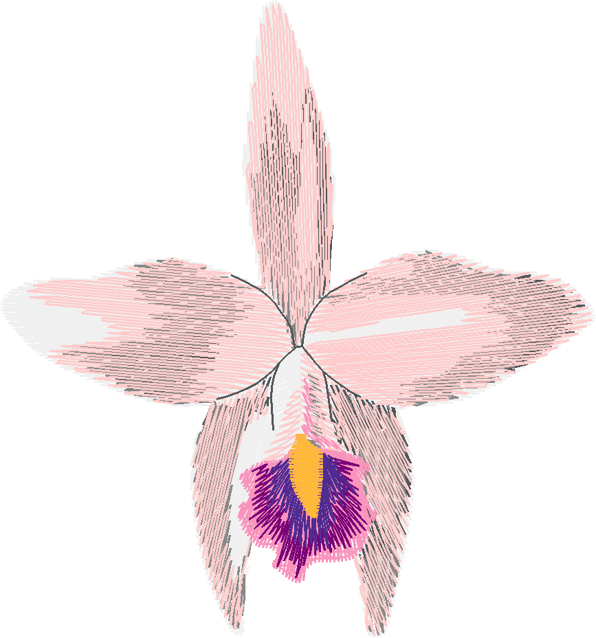 Exotic Flowers 2