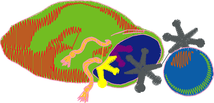 Ci127