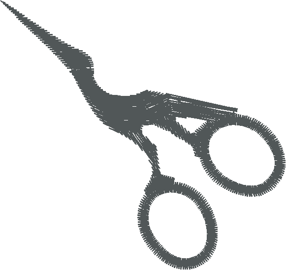 Bscisrsa