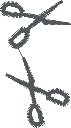 Scbordra