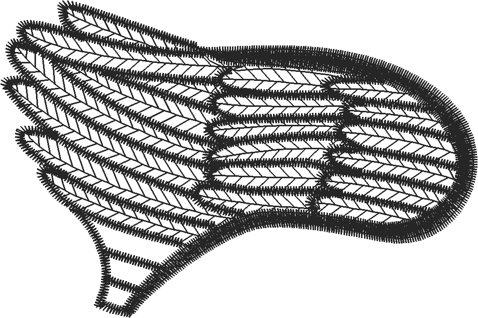 Wingp1