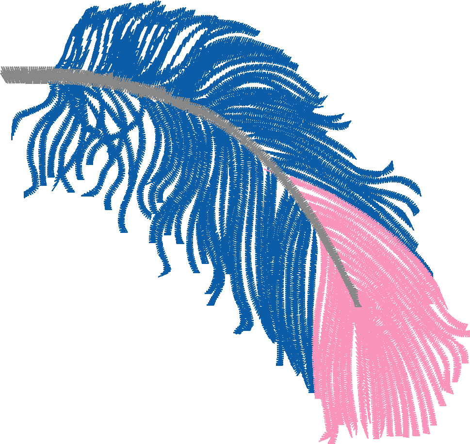 Fabulous Feathers  1 (2)
