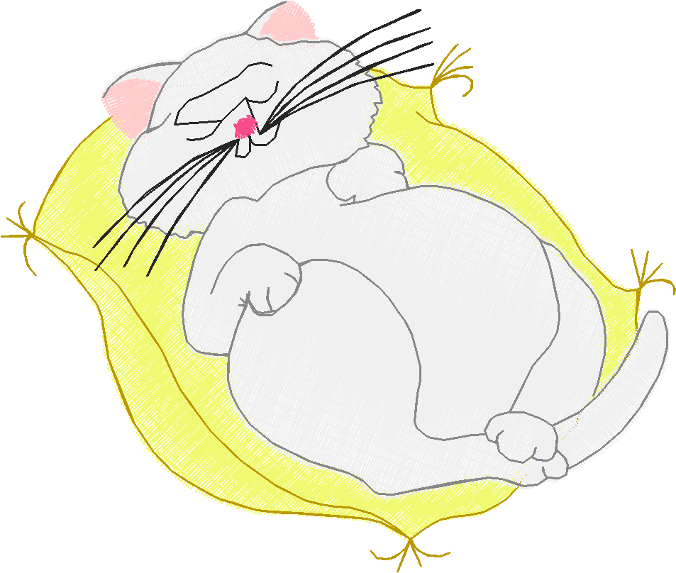 Fabulous Felines 2  (7)