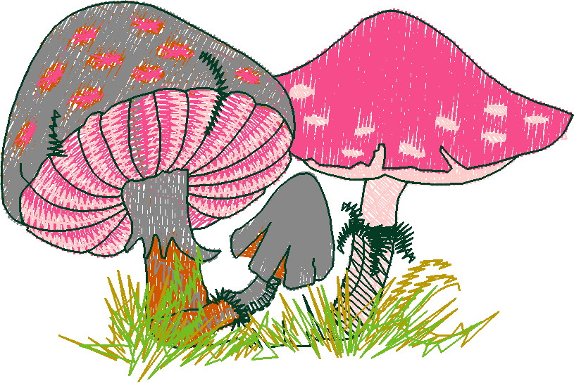 Fairies 3  (13)