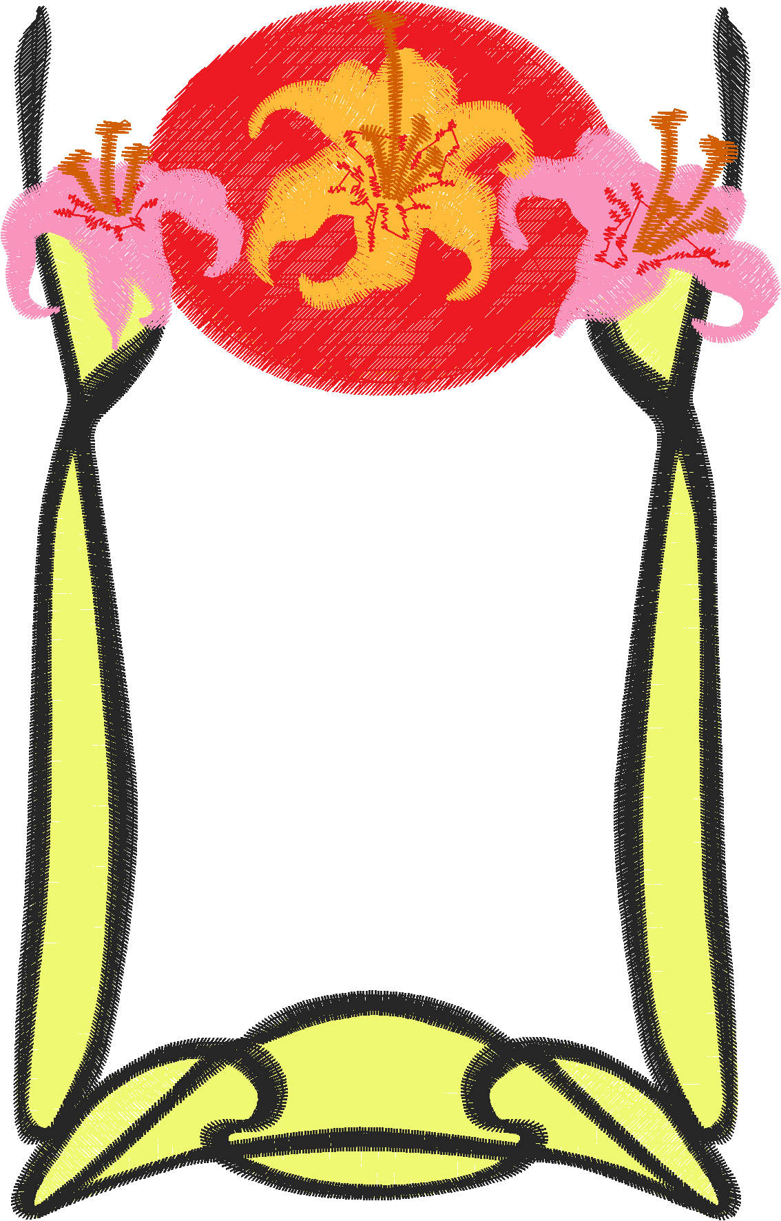 Fancy Frames 1  (13)