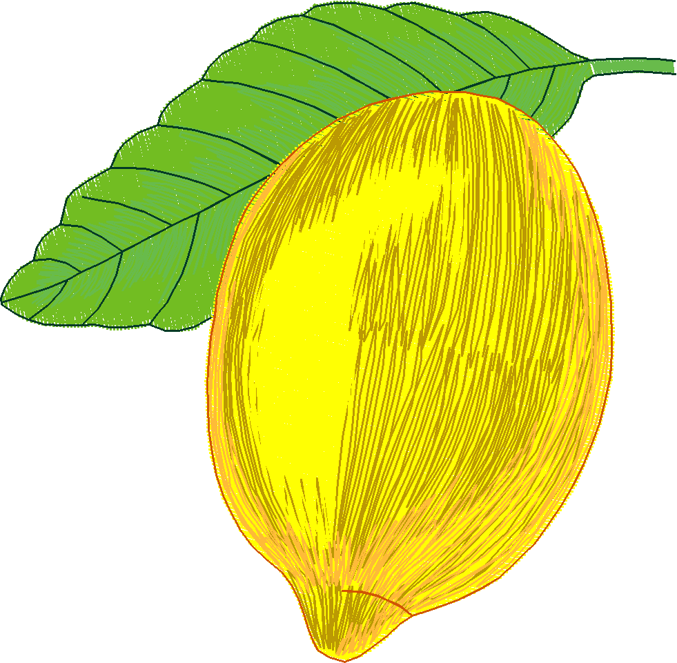 Fancy Fruit 1 (2)