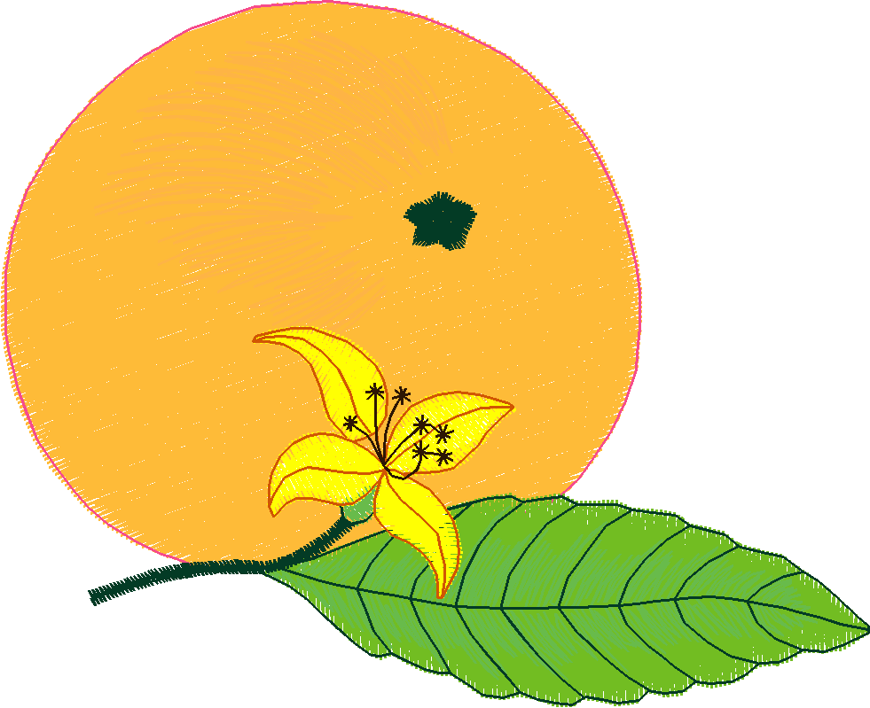 Fancy Fruit 1 (20)