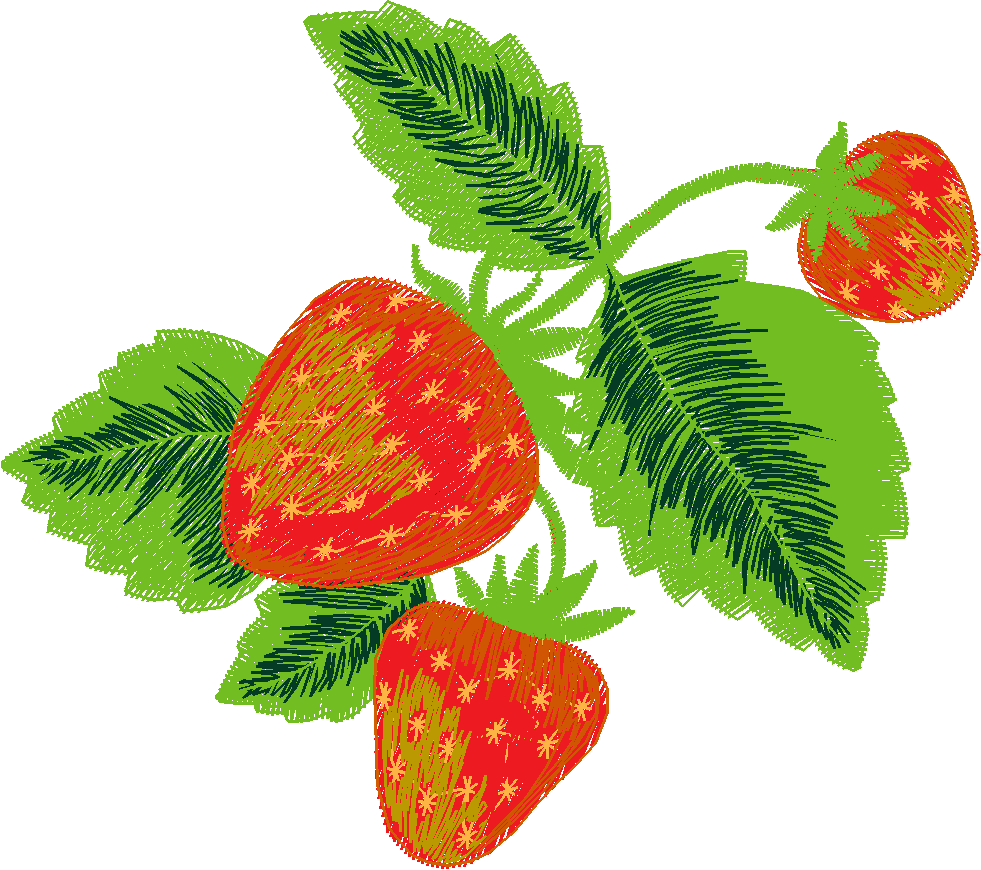 Fancy Fruit 1 (3)