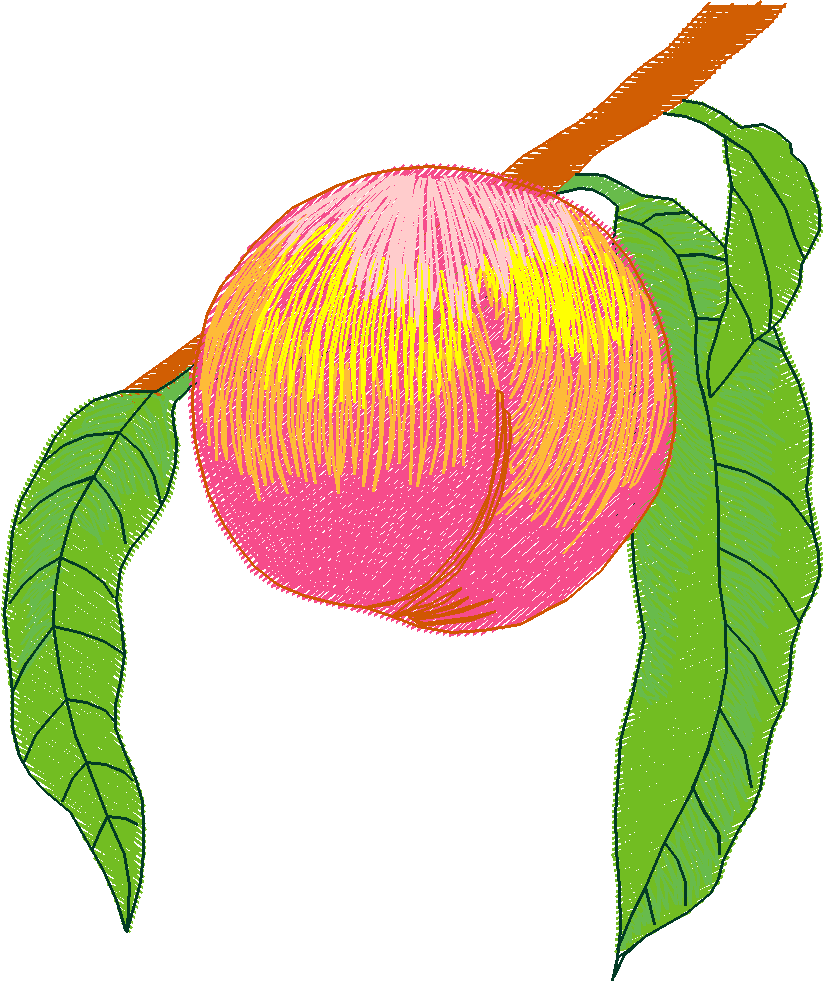 Fancy Fruit 1 (6)