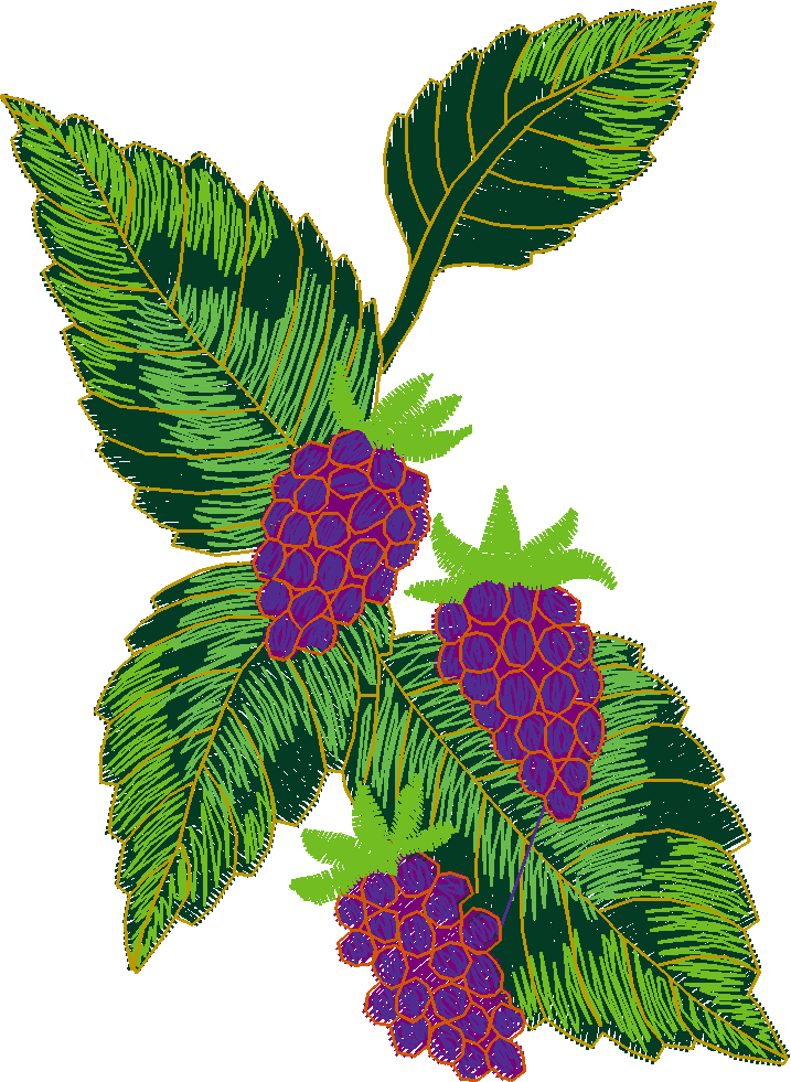 Fancy Fruit 1 (9)
