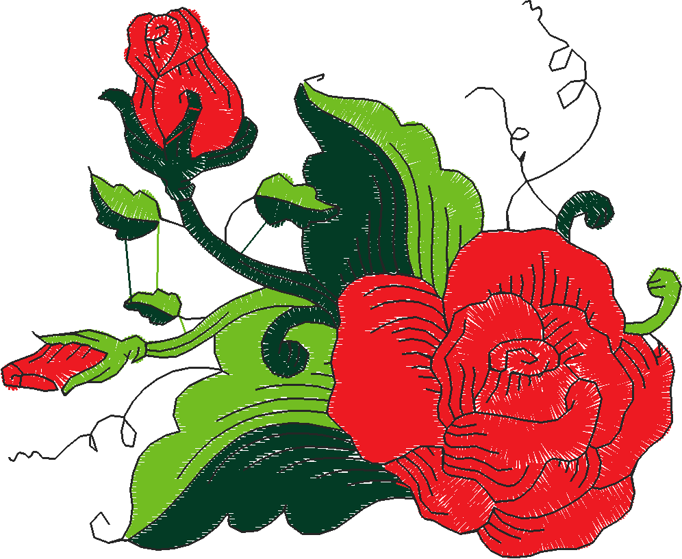Fantastic Roses