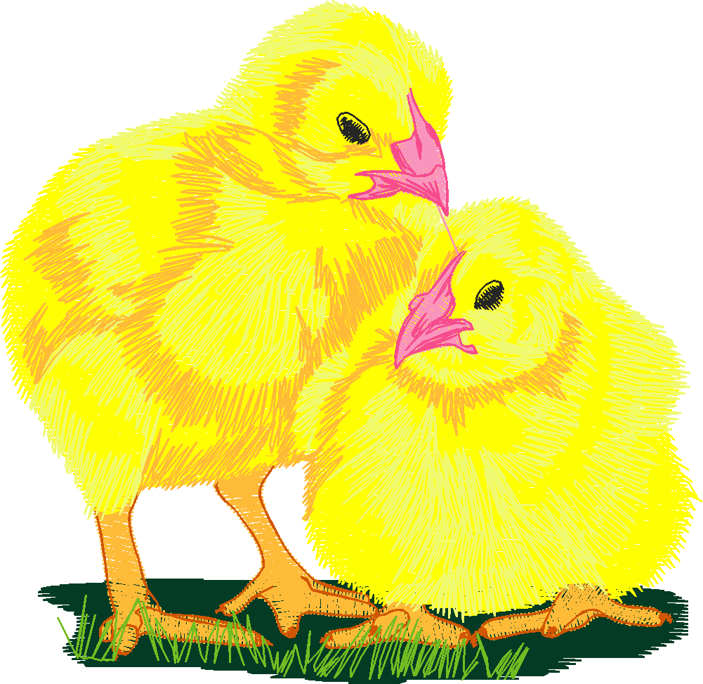 Farm Animals 1 (2)