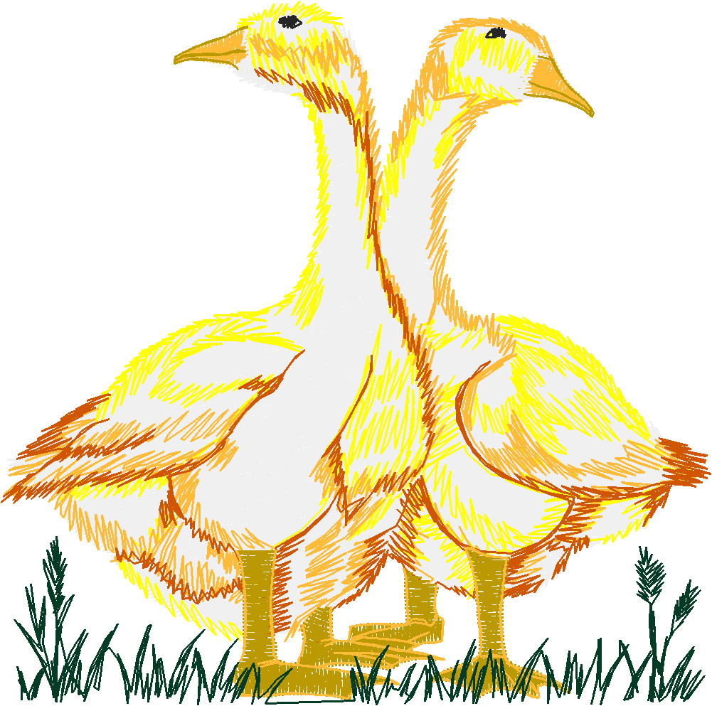 Farm Animals 1 (7)