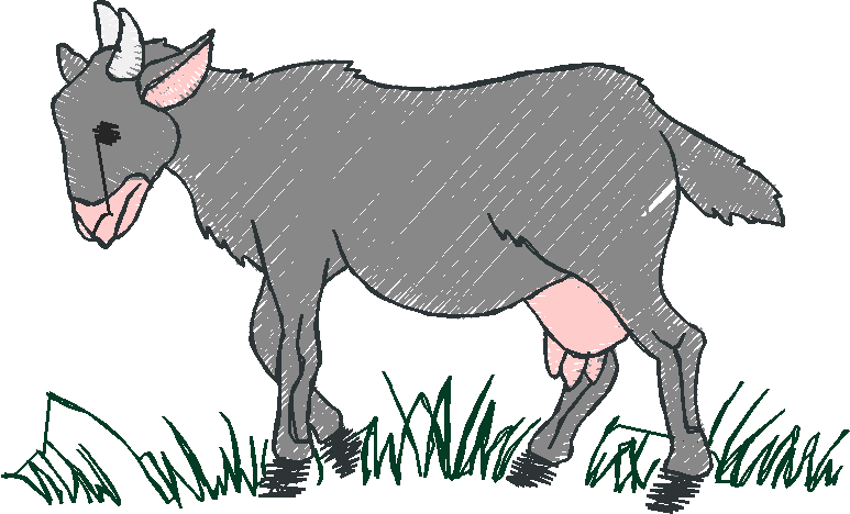 Farm Animals 4  (5)