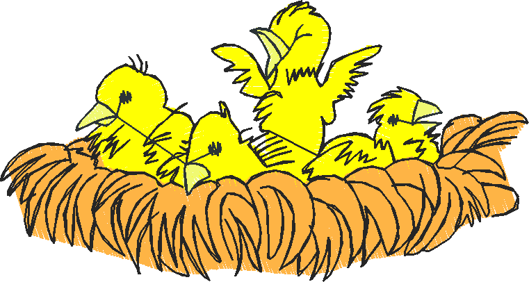 Farm Animals 4  (9)