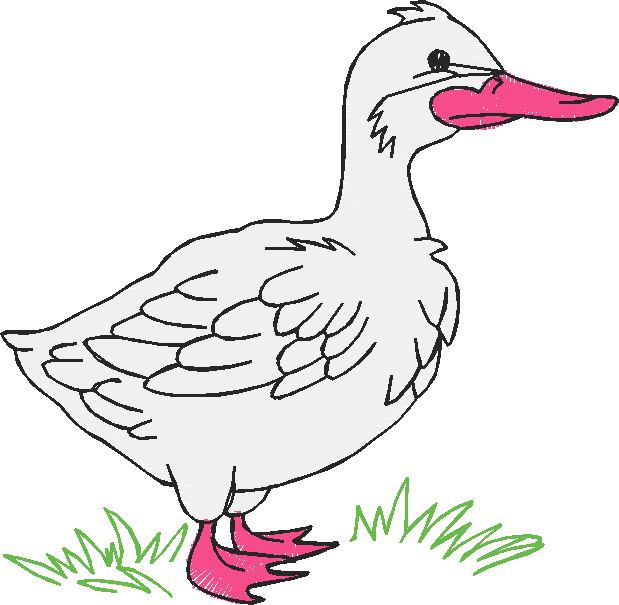 Farm Animals 6  (16)