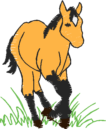 Farm Animals 6  (17)