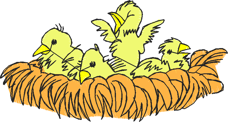 Farm Animals 6  (8)