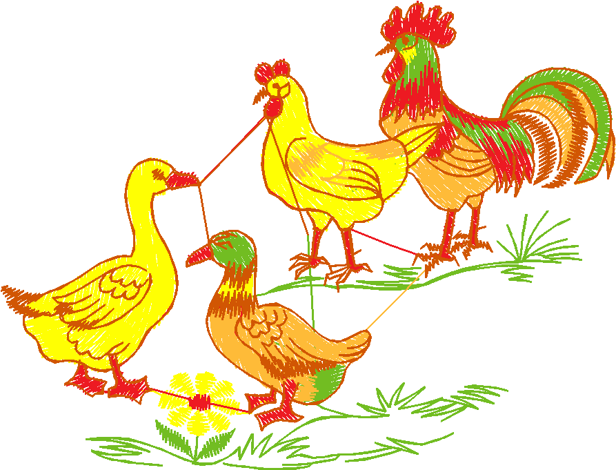 Farm 4 (6)