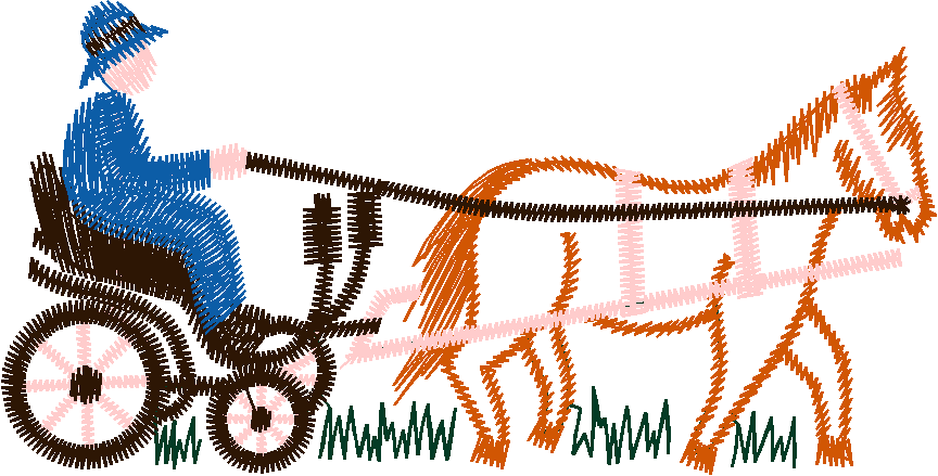 07