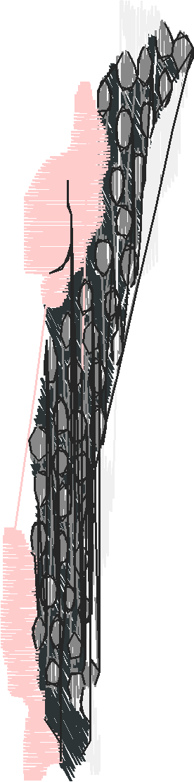 Cobble Stone