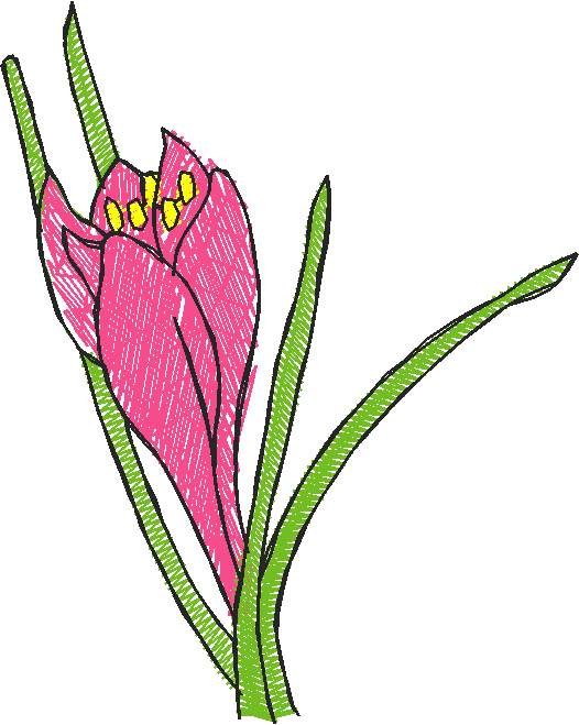 Des01 13
